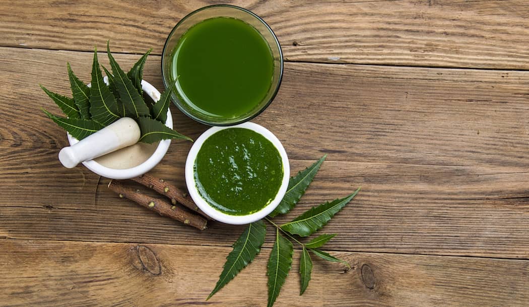 Heaps of Medicinal and Anti-Cancer Benefits Found in "Nature's Drug Store" about undefined