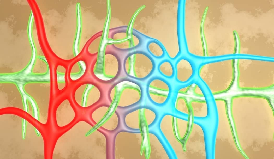 Does Your Detox System Look Like an L.A. Freeway at Rush Hour? about undefined