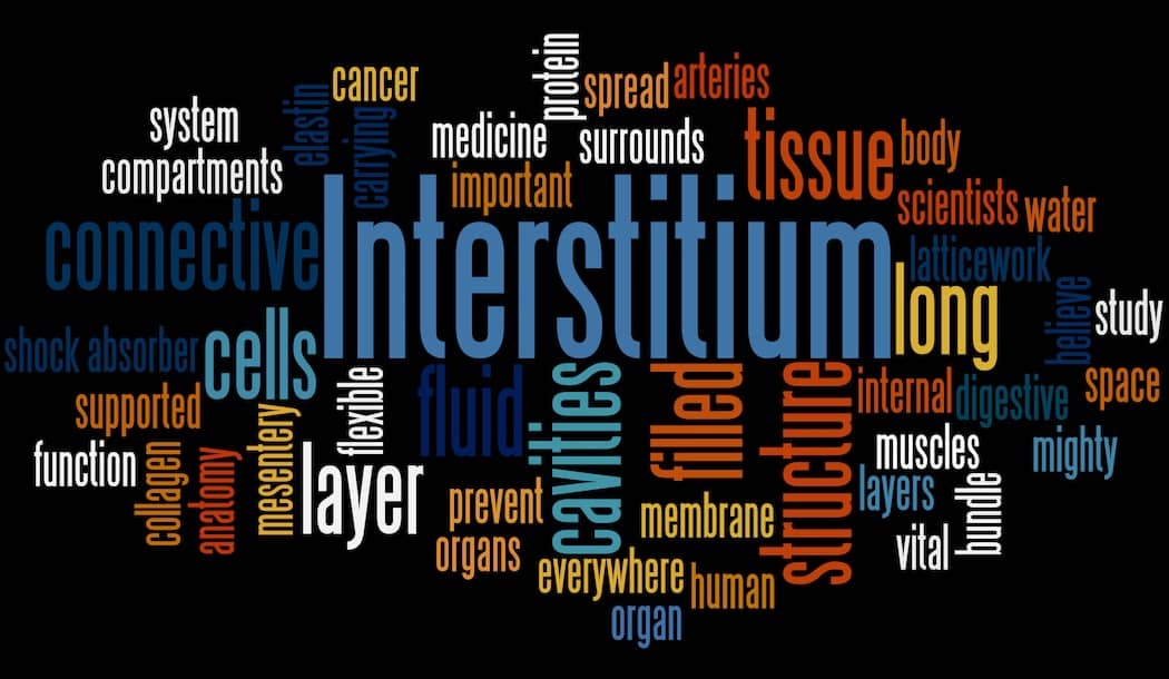 New Body Structure Might Explain How Cancer Spreads about undefined