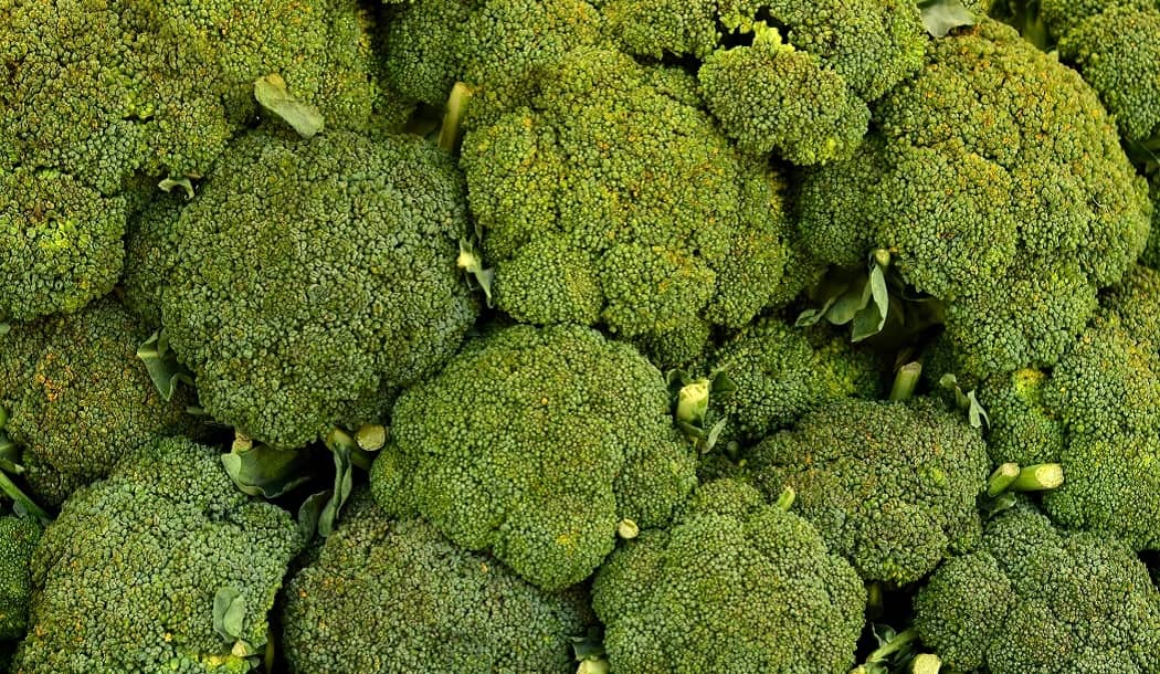 Dynamic “Green Team” Makes Lethal Breast Cancer Treatable about undefined