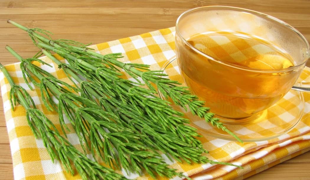 Ancient Remedy Holds New Hope for Cancer Patients about undefined