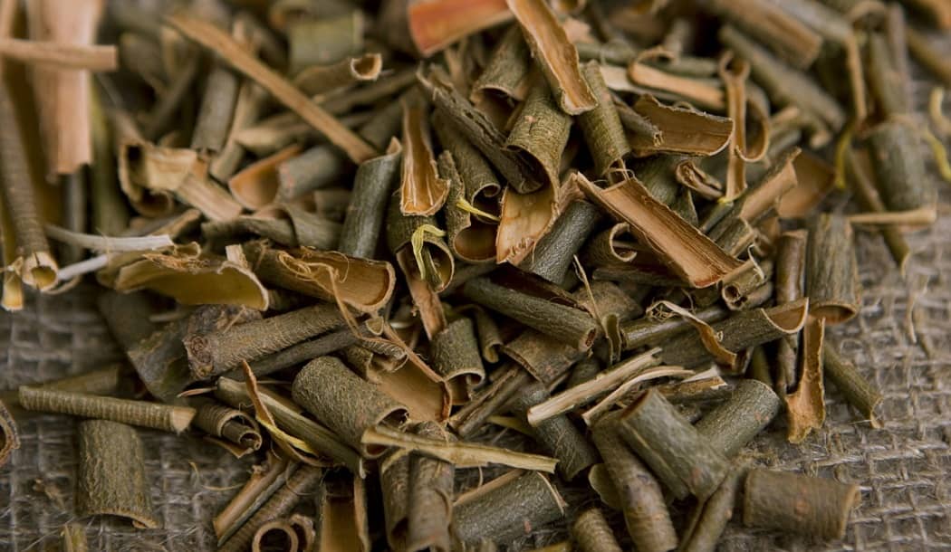 Ancient Pain Remedy Resurrected for Treating Cancer about undefined