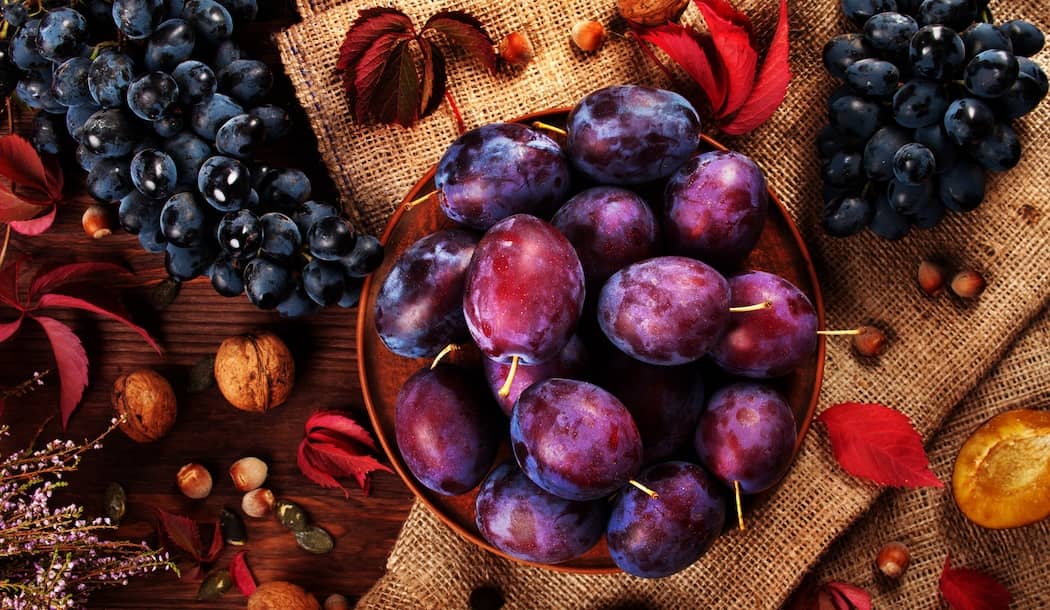 One of Nature’s Most Powerful Cancer-fighting Antioxidants about undefined