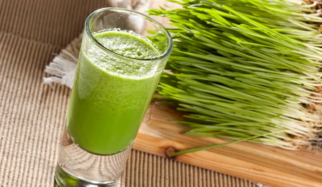 The Best Drink for Cancer Patients about undefined