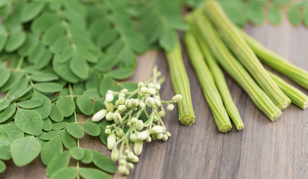 World’s Most Nutritious Plant is Also a Powerful Cancer-Fighter! about undefined